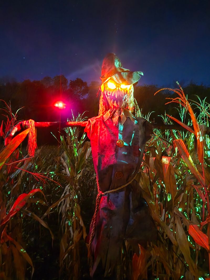 Hillside Horror