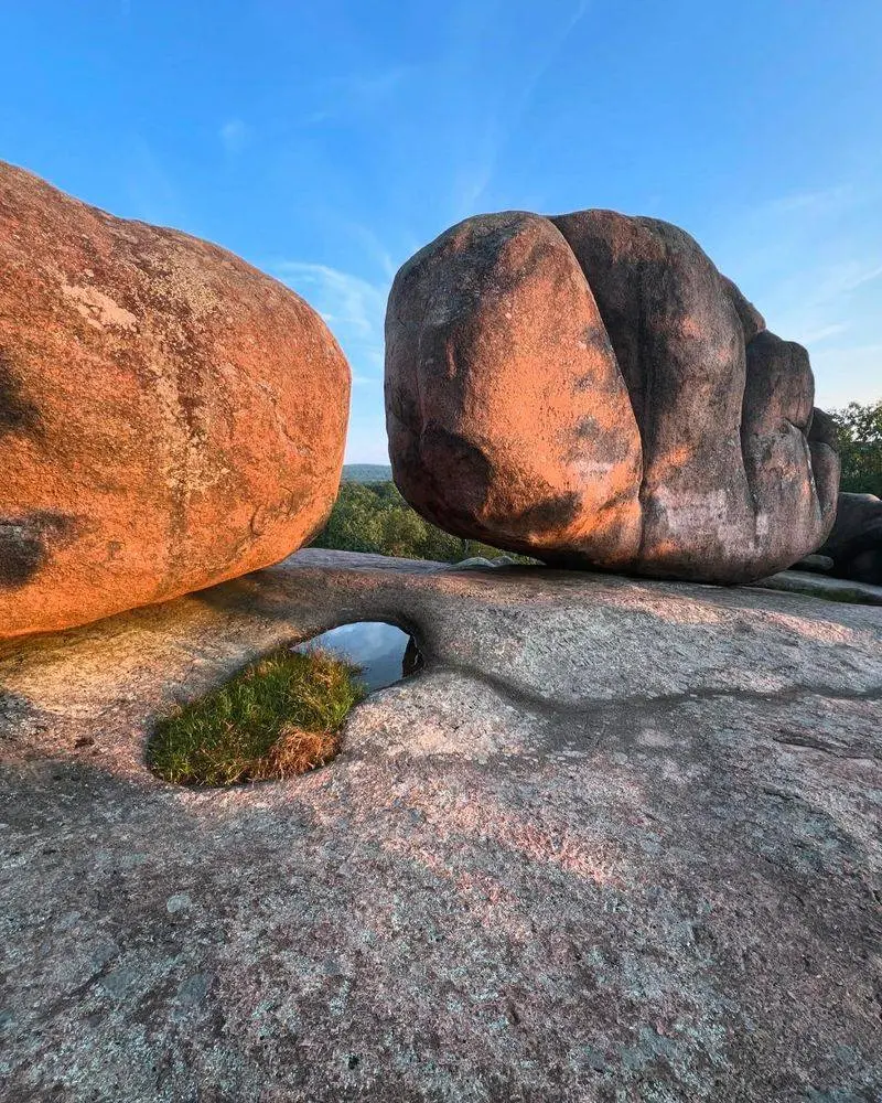 Where the Stone Herd Lives