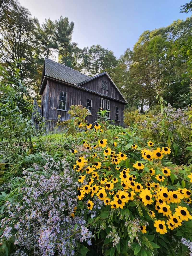 Save Time For The Grounds And The Gift Shop