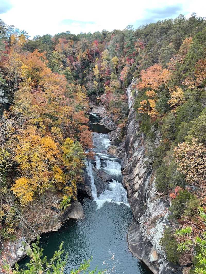 Every Open Day Requires a Gorge Floor Permit