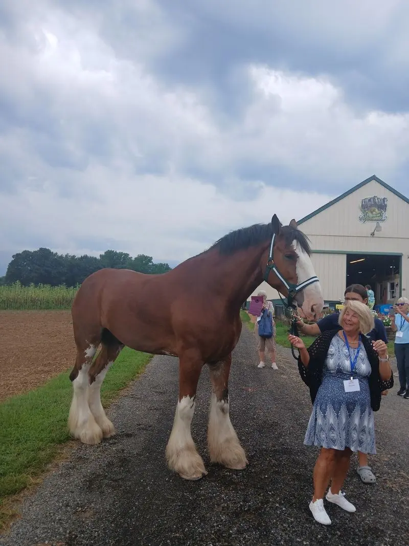 Why Your Kids Will Talk About These Horses For Weeks