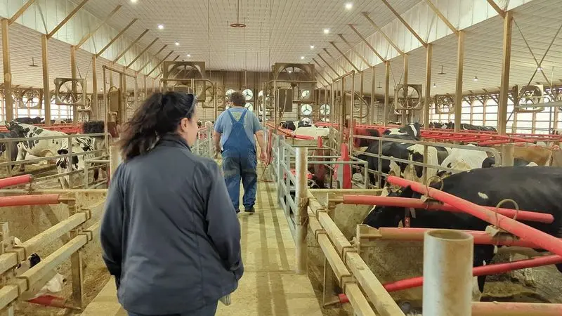 Farm Tours Pull Back The Curtain On Dairy Life