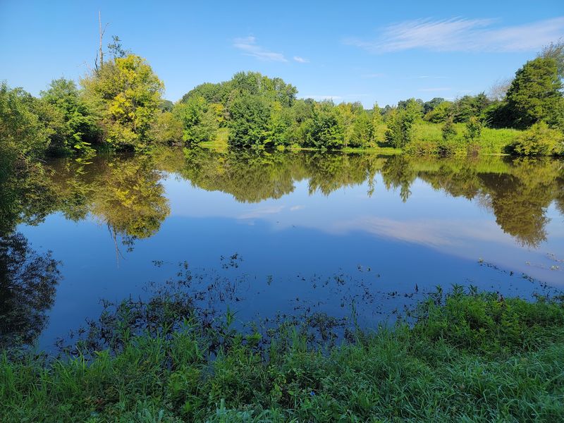 A Whole Nature Preserve Sits Just Across The Road