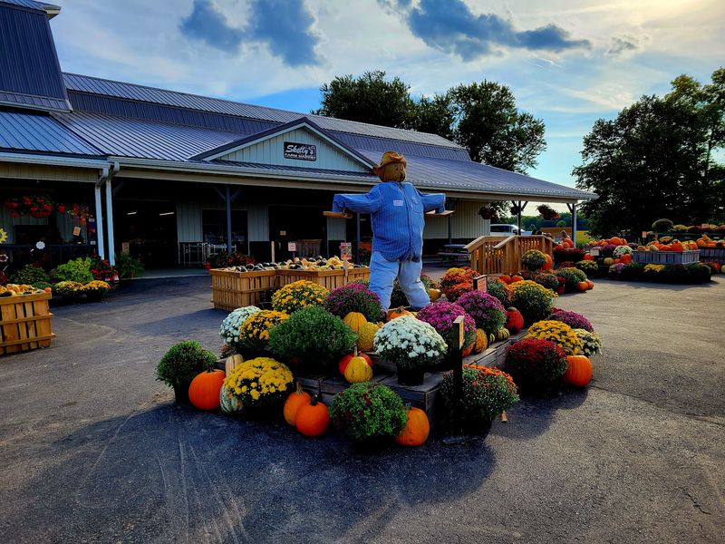 Skelly's Farm Market