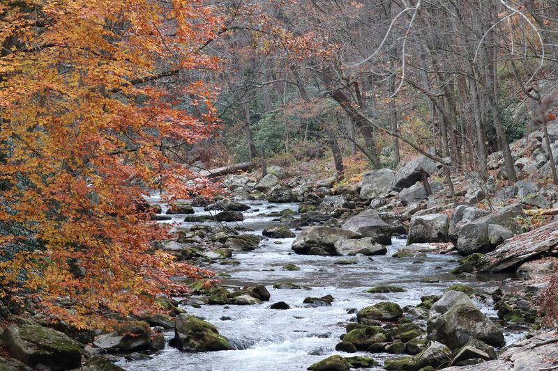 Trout Streams and Trails Keep Busy Kids Happy by Day