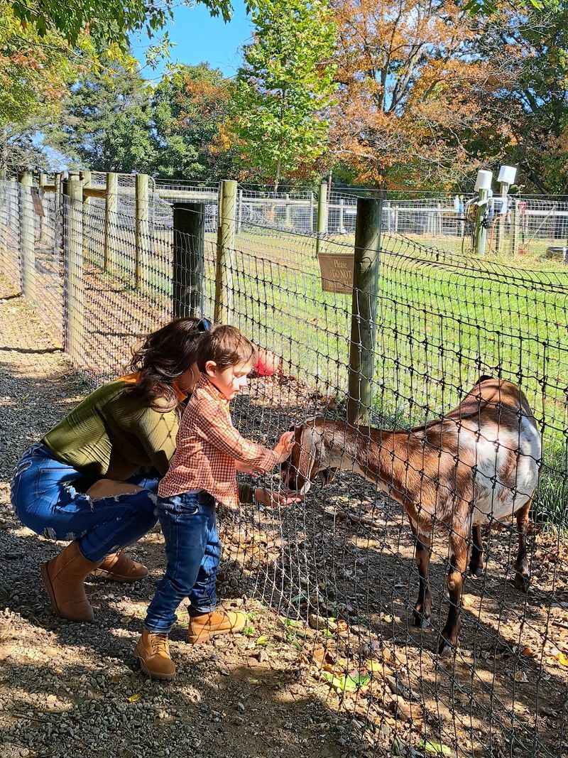 Farm Animals Bring Out Everyone's Curious Side