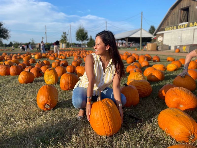Find a Pumpkin Worth Bringing Home