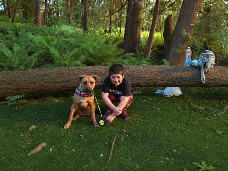 Barks And Rec Turns A Dog Walk Into A Day Out