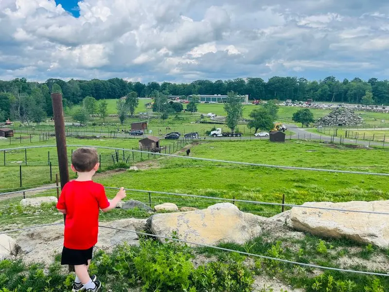 Playgrounds, Picnics, And A Weekend Grill Keep Everyone Fueled