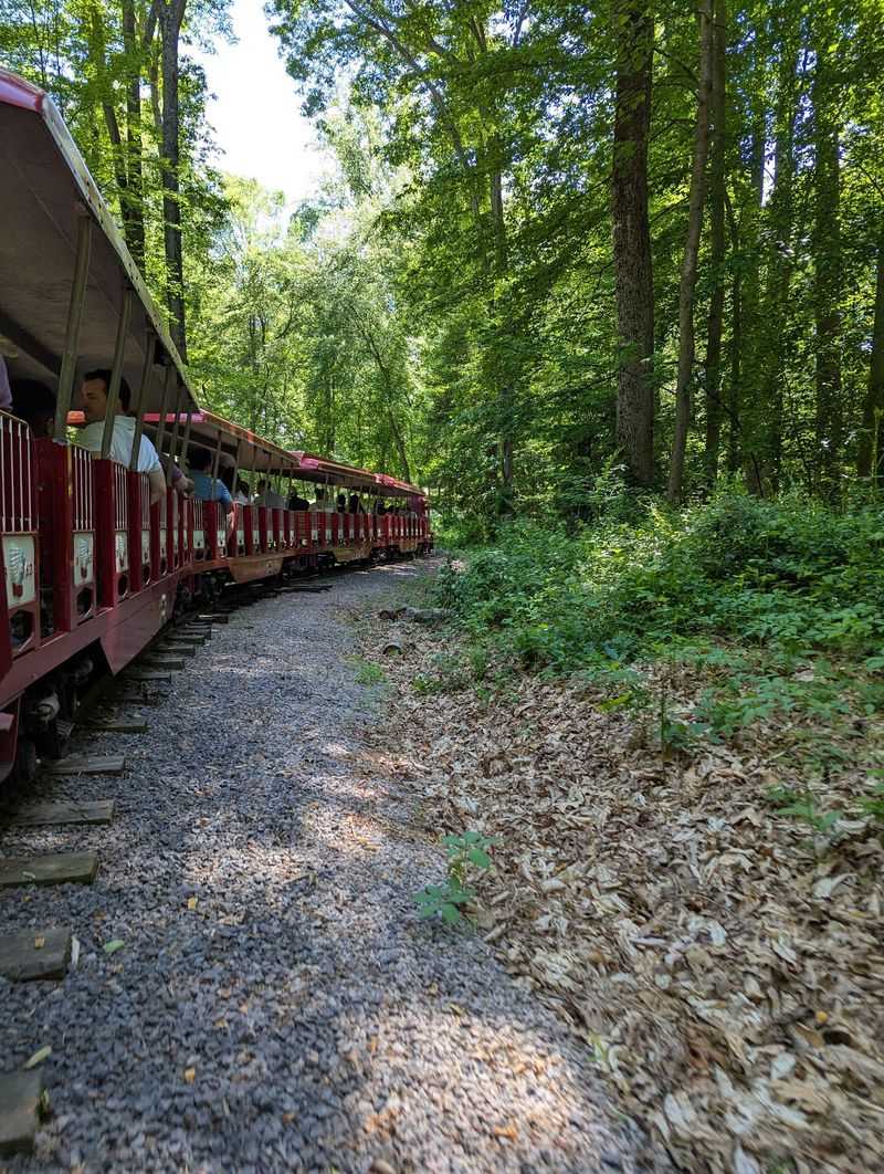 Burke Lake Train & Carousel