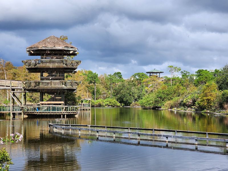 Climb The Tower And Count The Gators Below