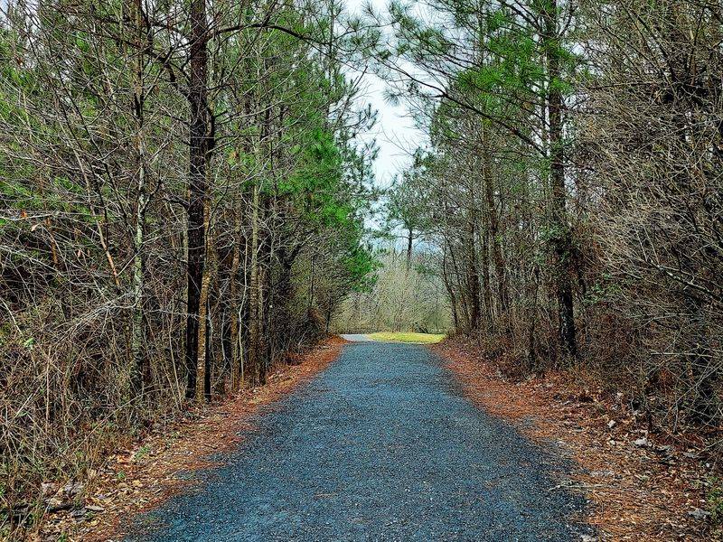 Chattahoochee Pointe Trail
