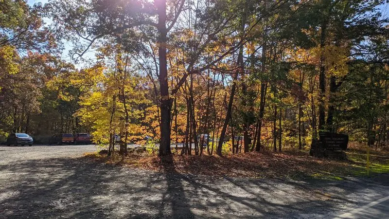 Explore Autumn&rsquo;s Wetter Side on Thunder Swamp