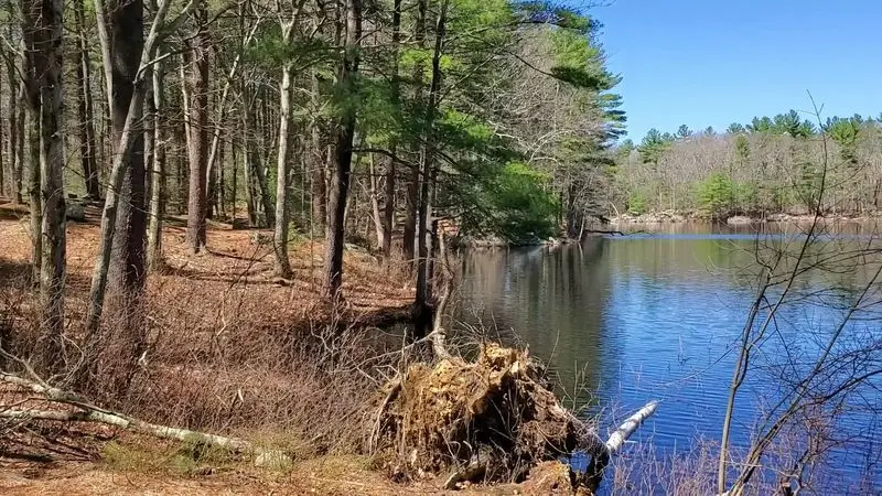 Watch Salem Pond Ripple Along the Yellow Diamond Trail
