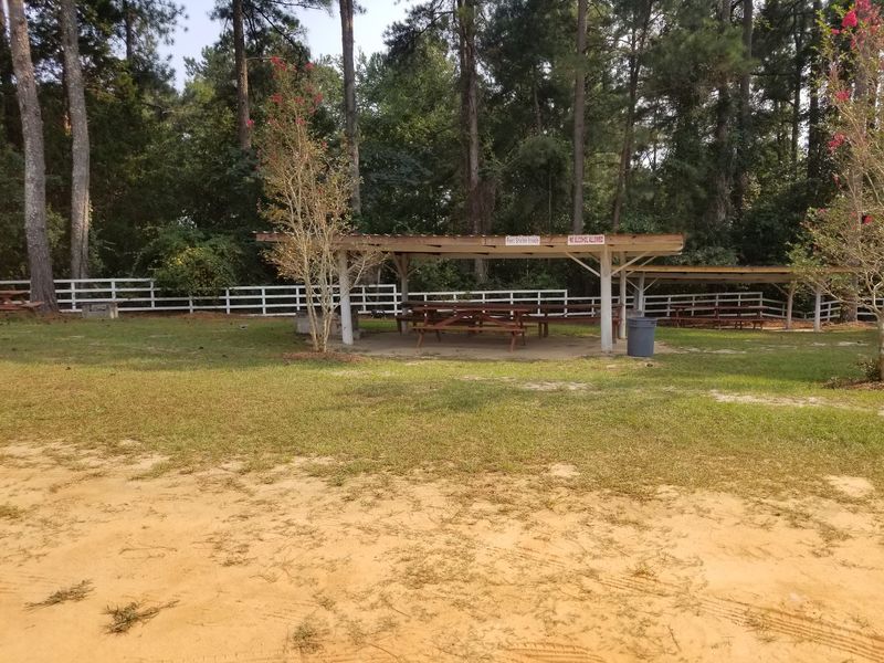 Lunch Comes From The Snack Bar, And Nobody Is Complaining