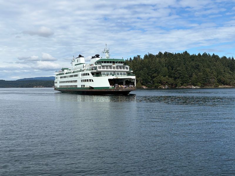 Why This Dock Earns A Spot On Your Family Day Plan