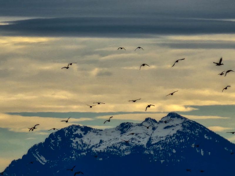 Quiet Skies For Grown-Ups, Big Wonder For Kids