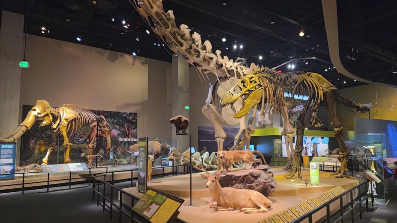 Your Little Paleontologist Is About To Lose Their Mind