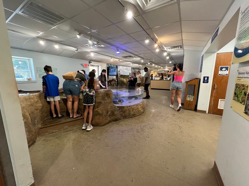 The Fort's Old Prison Now Holds Fish Instead