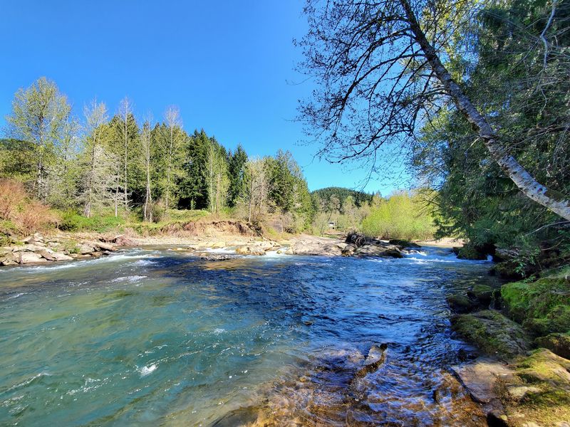 Gateway Status For Mount Rainier Day Trips
