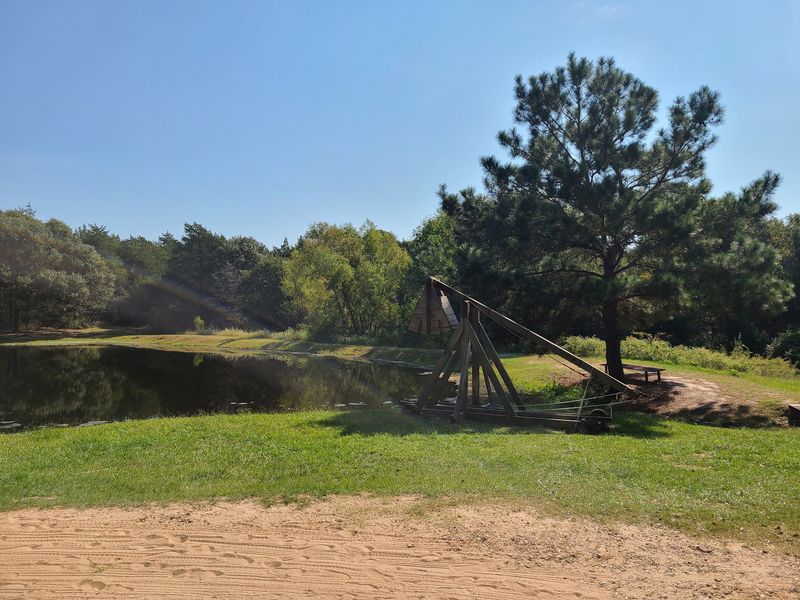 Stand Back Because The Trebuchet Means Business