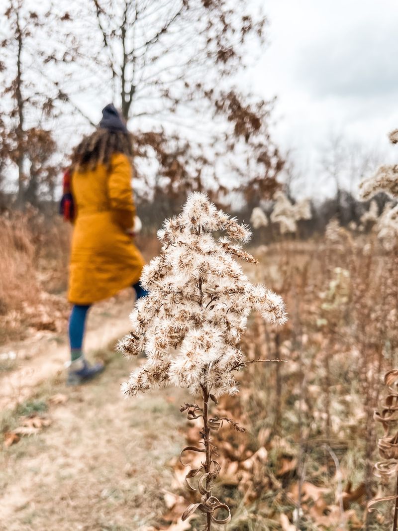 Follow Water and Old Stories at Scuppernong Springs