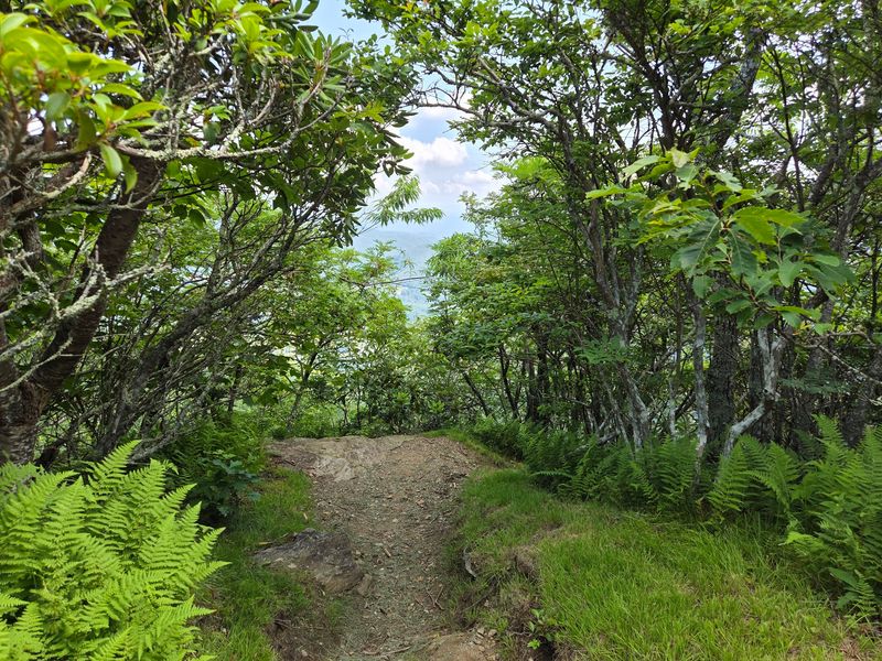 Big Views Above the Valley: Mount Jefferson State Natural Area - West Jefferson, Ashe County,