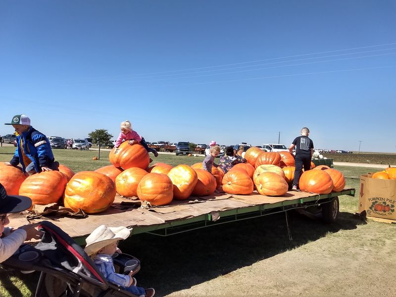 Assiter Punkin Ranch & Pumpkin Patch