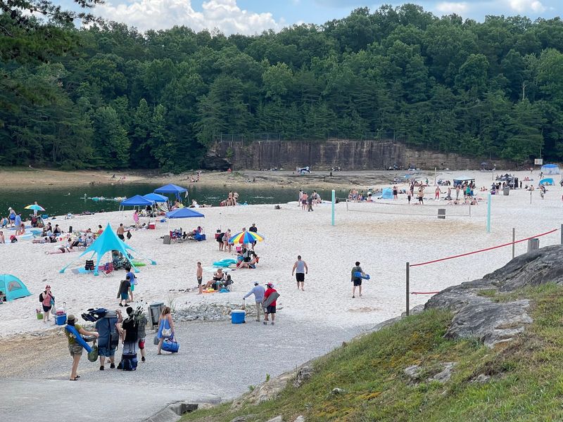 Volleyball, Canopies, And A Full Family Day