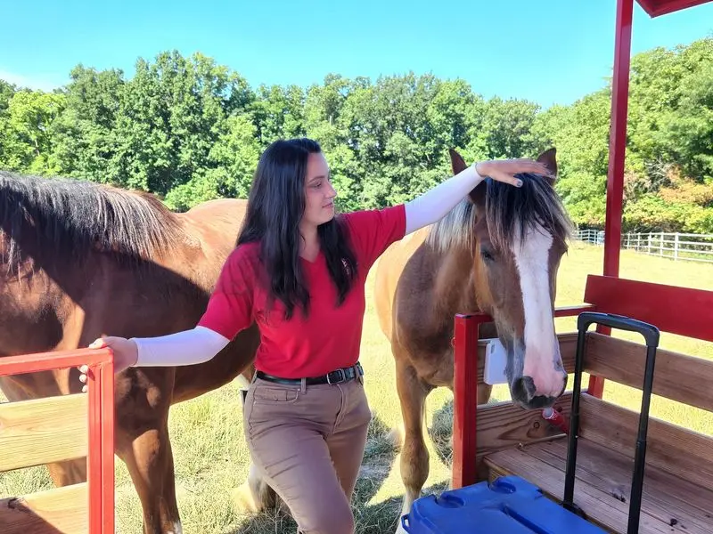 You'll Want To Be First In Line For The Wagon Ride