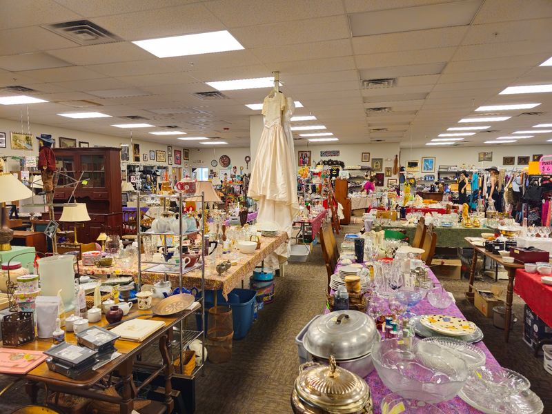 Little Wing Curiosity Shoppe & Thrift Store