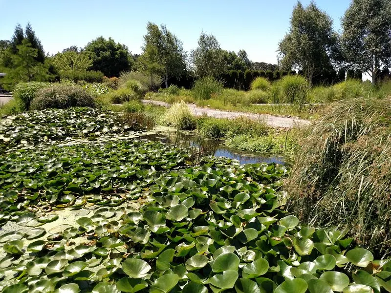 Frogs, Ponds, And Wetland Trails Worth Slowing Down For