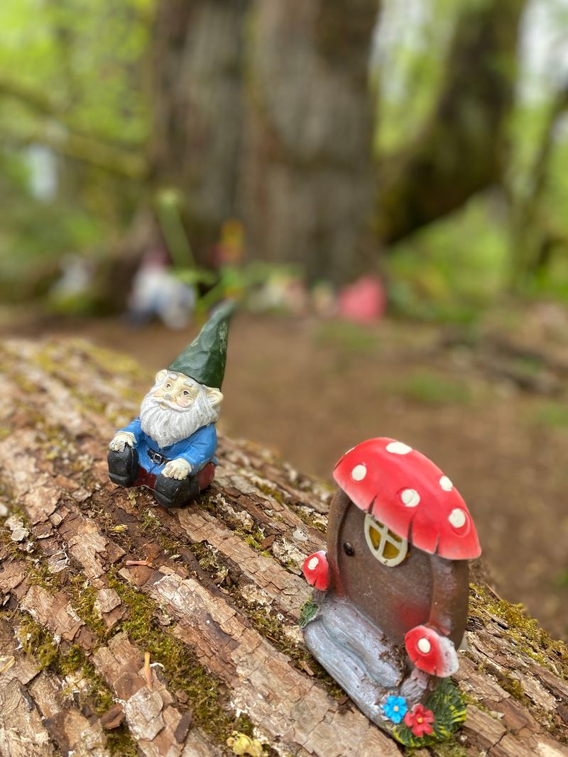 Bring A Gnome From Home And Leave A Little Joy Behind