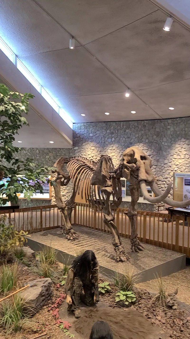 Mastodon State Historic Site
