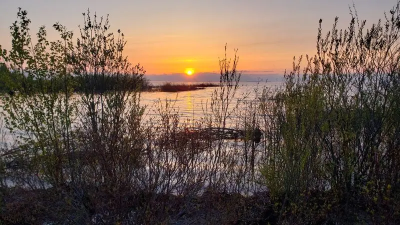 Lake Light Worth Waiting For