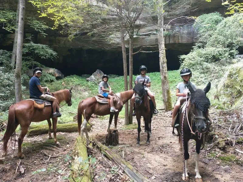 A Backroad Stable Worth Pointing Your Truck Toward