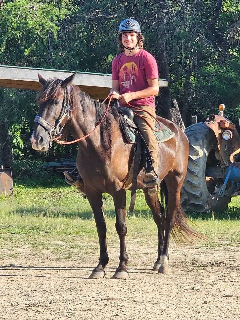 Horses With Manners Your Kids Will Brag About