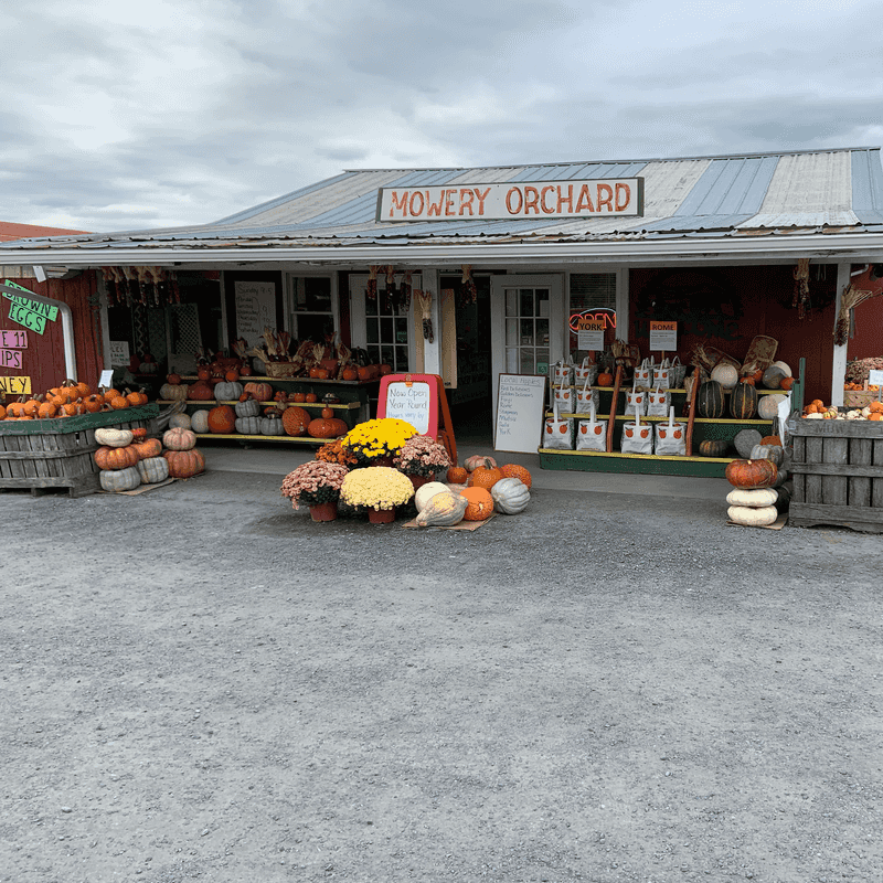 Mowery Orchard, Woodstock, VA