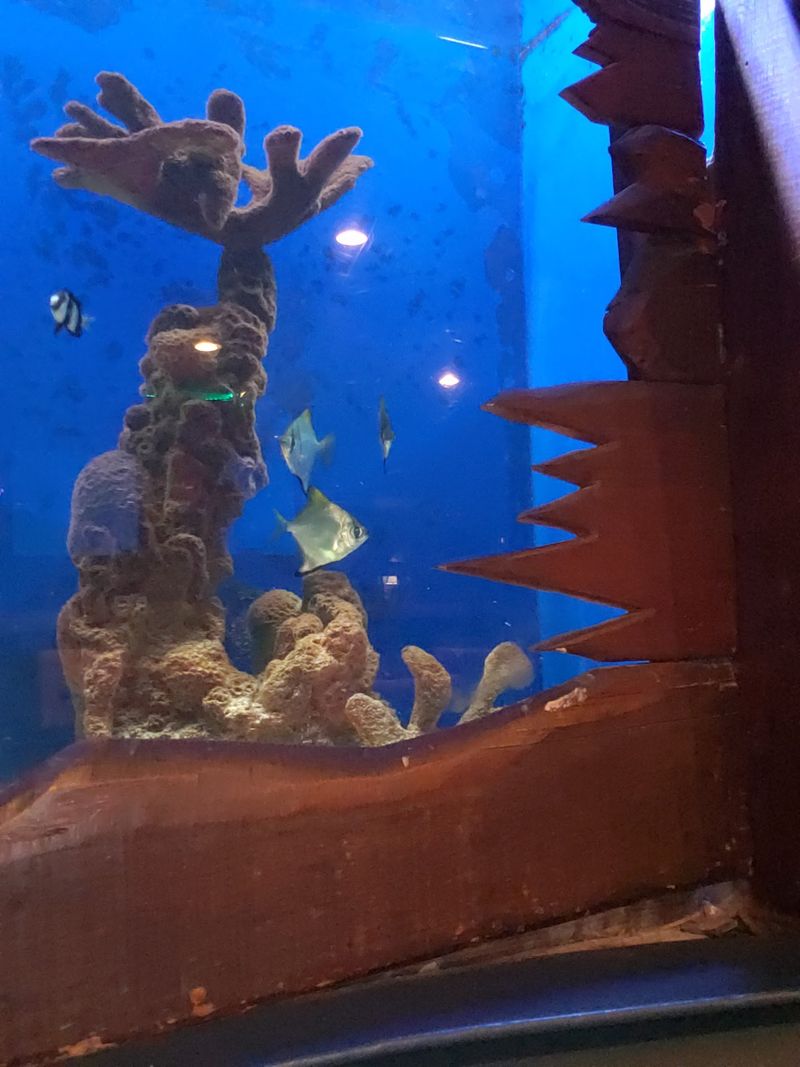 Sunday Brunch Lets the Whole Family Join the Mermaid Fun