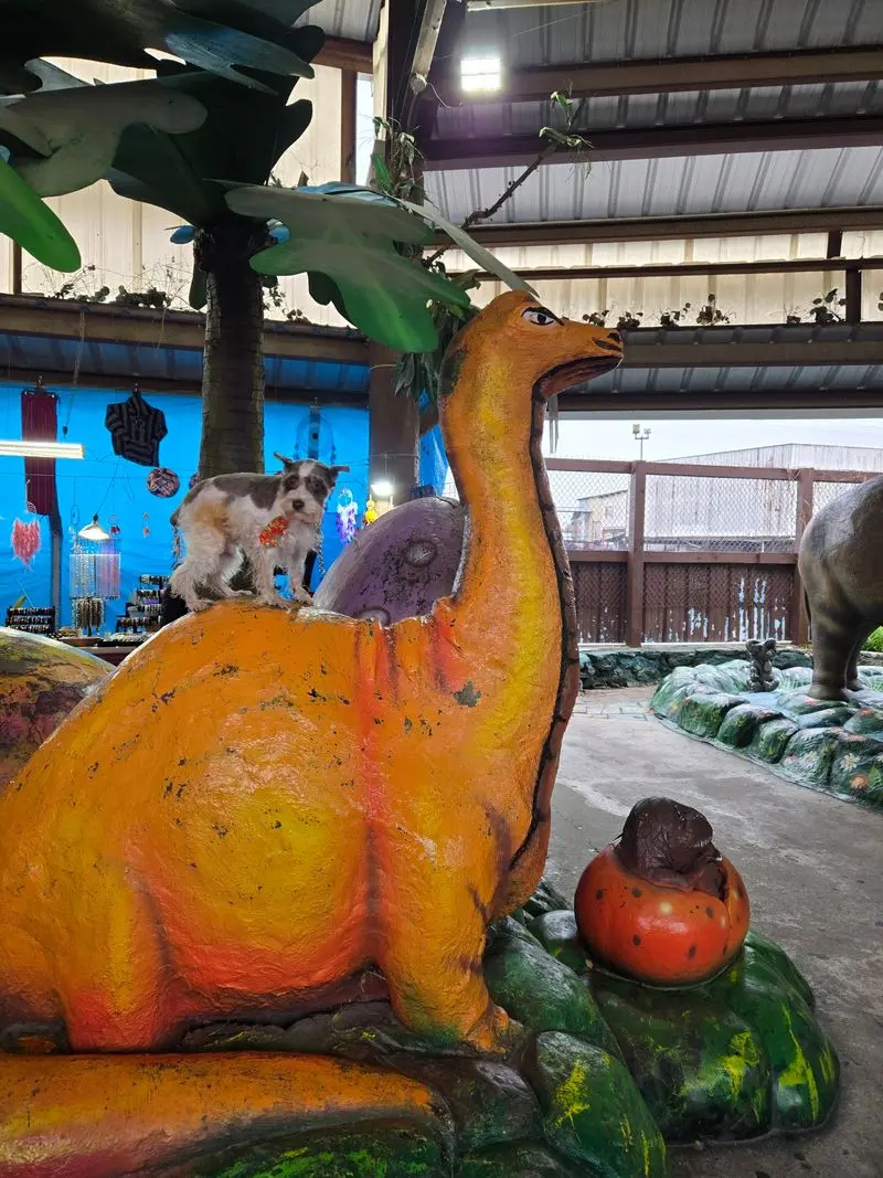 Baby Turtles, Birds, And A Few Dinosaurs Keep Things Weird