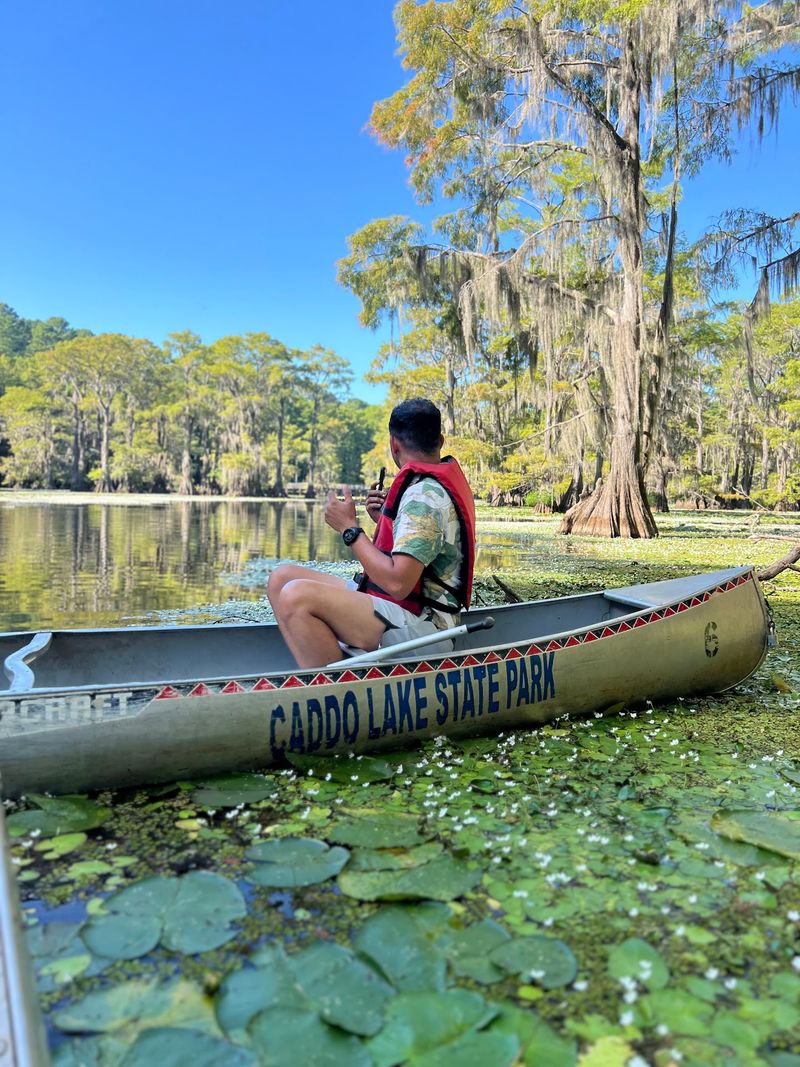 Paddle Through Moss-Draped Cypress Nearby