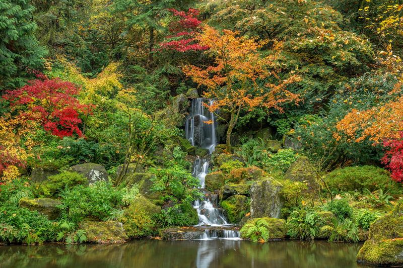 Cherry Blossoms, Fall Colors, And A Season For Everyone