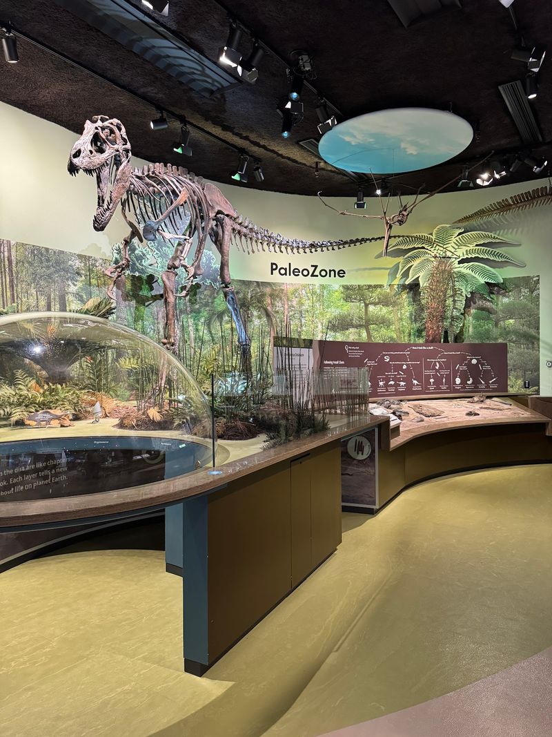Crawl Inside A Dome For A Seriously Close Dinosaur Encounter
