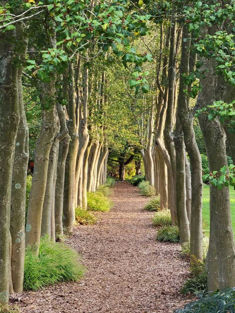Trails, a Pond, and Trees That Wear Name Tags