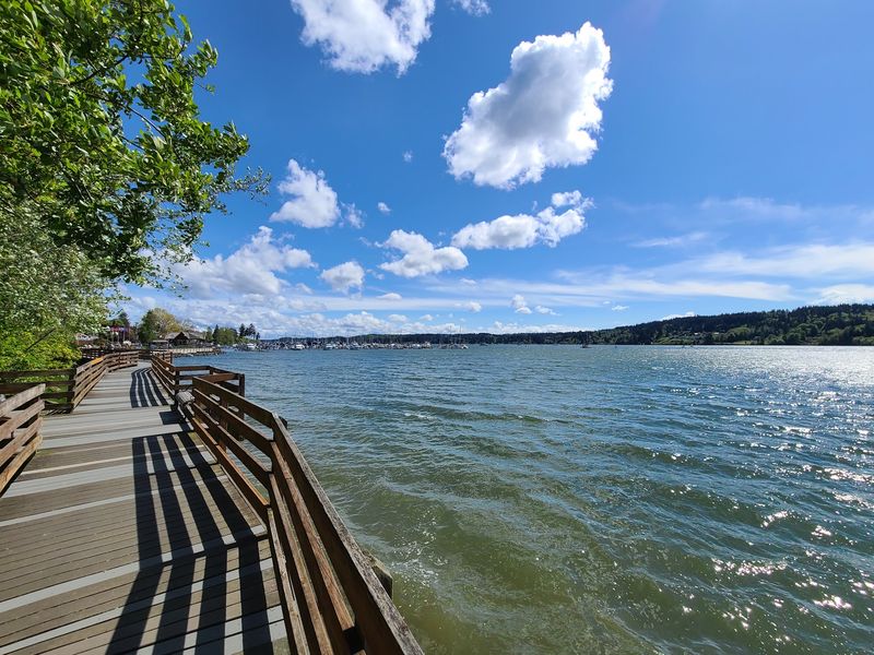 Green Spaces Wrapped Around The Water