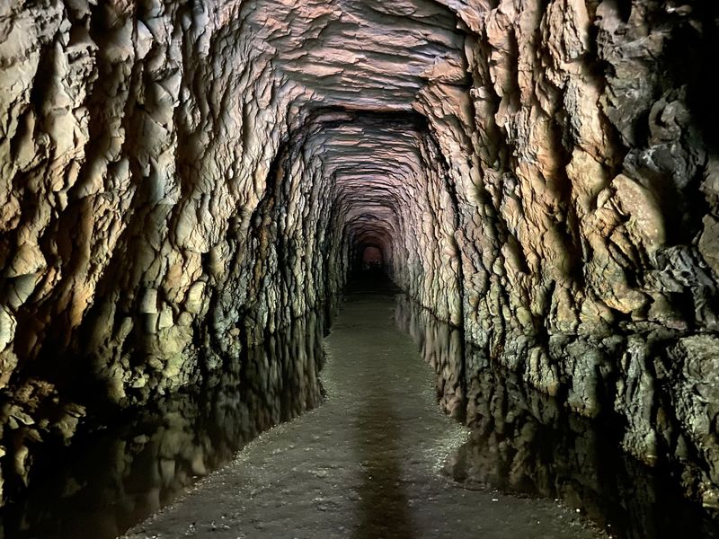 Learn Why Construction Came to a Halt in 1859