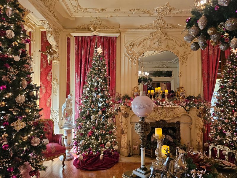 Catch the House in Its Holiday Dress