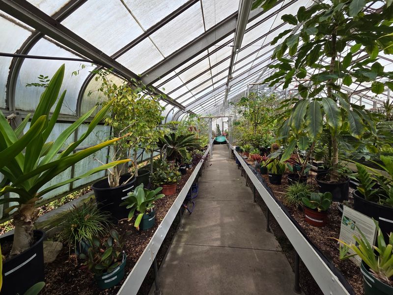 Step Inside The Rainforest Building