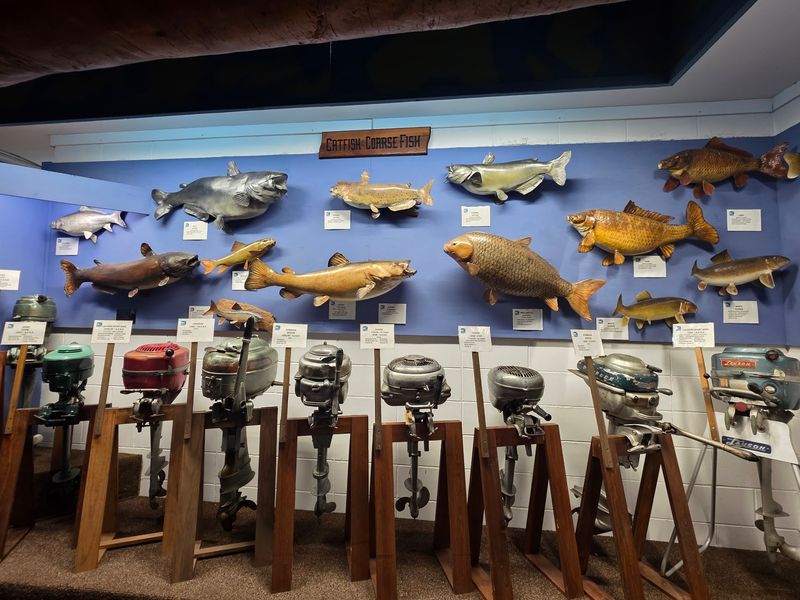 Step Into Wisconsin's Fishing History