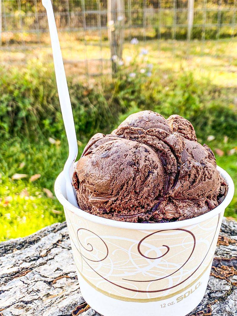 Save Time for an Ice Cream Finish